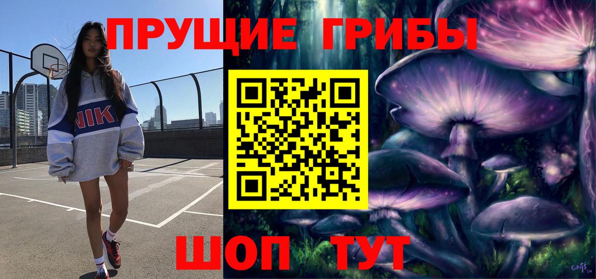 Псилоцибиновые грибы GOLDEN TEACHER Бор