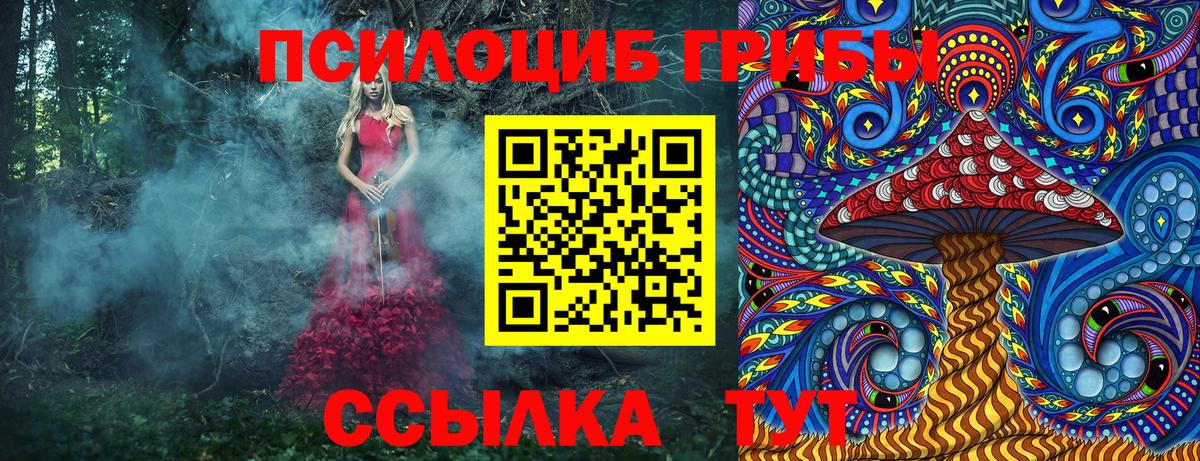 Галлюциногенные грибы GOLDEN TEACHER  Галлюциногенные грибы Magic Shrooms  Бор 