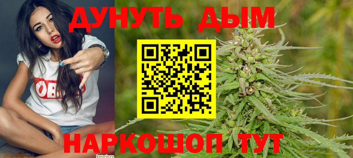 Каннабис планчик Бор