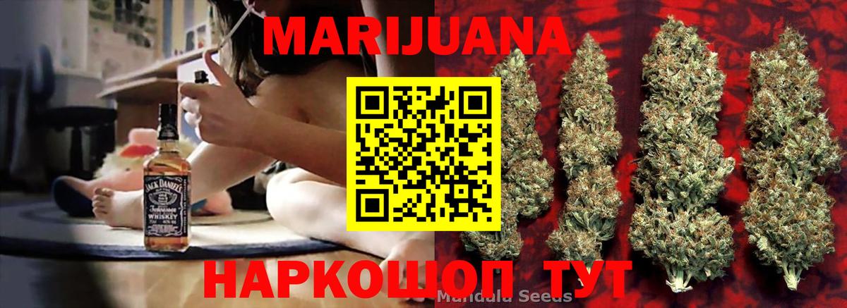 Бошки марихуана планчик  Бор  Конопля OG Kush  Конопля Ganja 